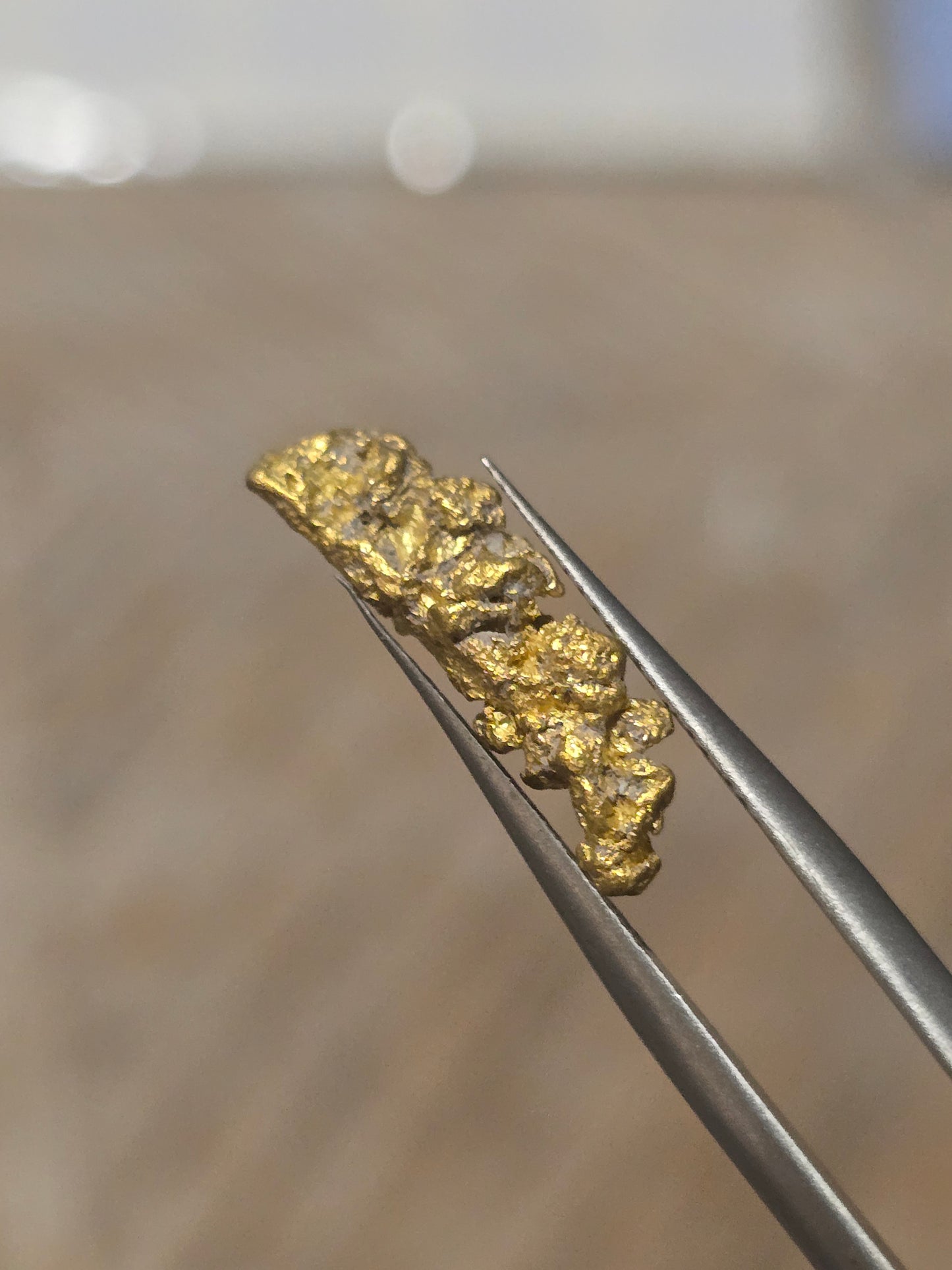 1.591g Clearmont gold nugget