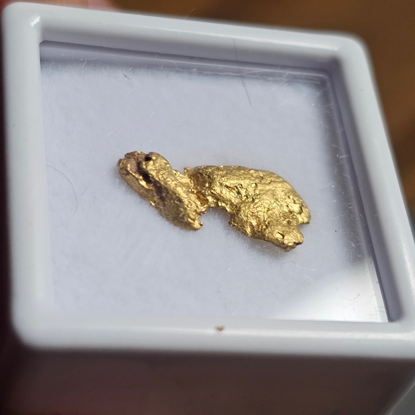 1.11g FNQ gold nugget