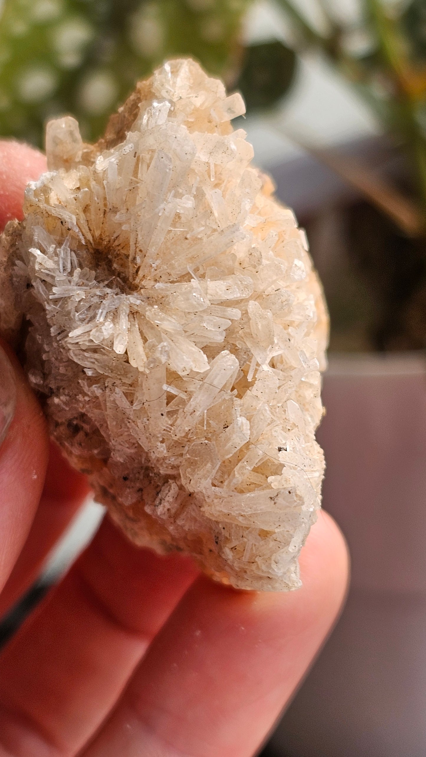 Australian Selenite