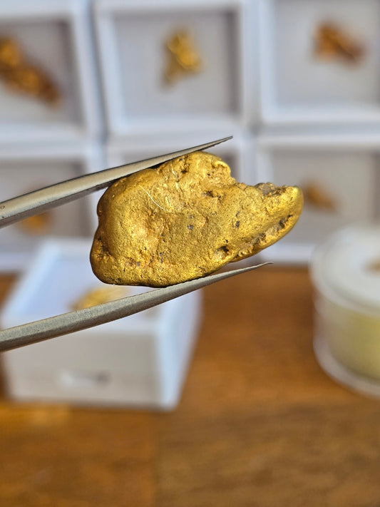 10.93G Golden Crab Claw