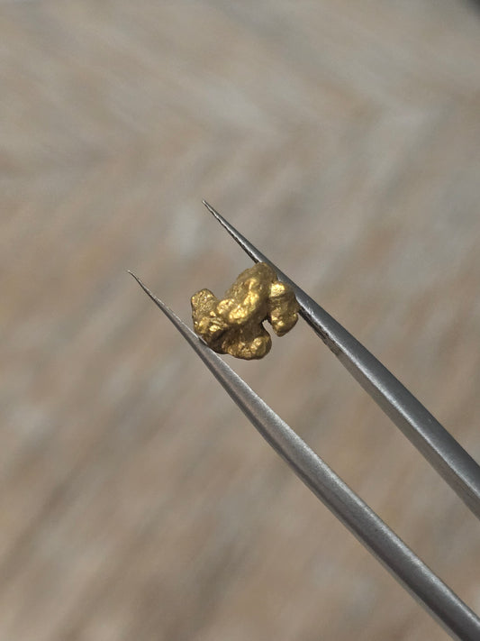 1.523g Clearmont gold nugget