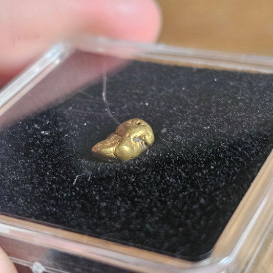 1.15g Queensland Gold Nugget