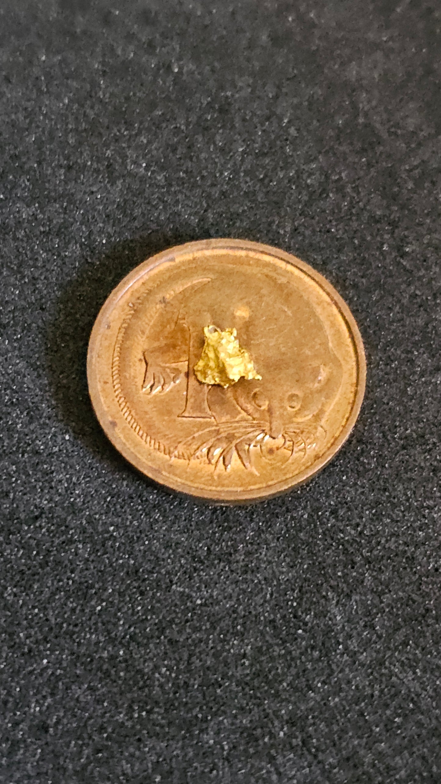 Rushworth Gold Nugget No.1001