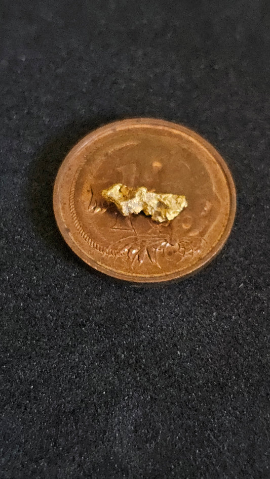 Rushworth Gold Nugget No.1002