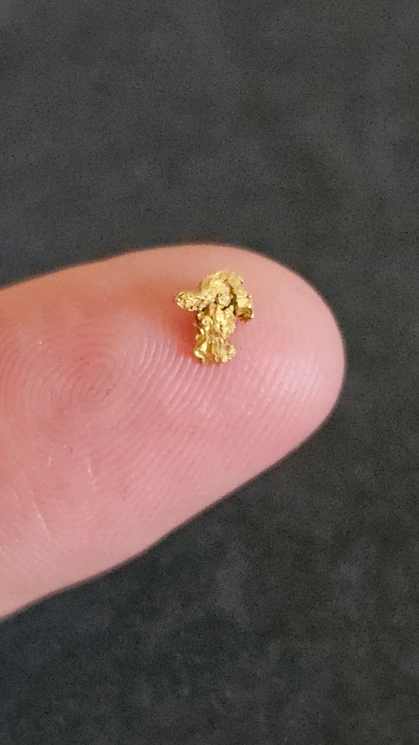 Rushworth Gold Nugget No.1003