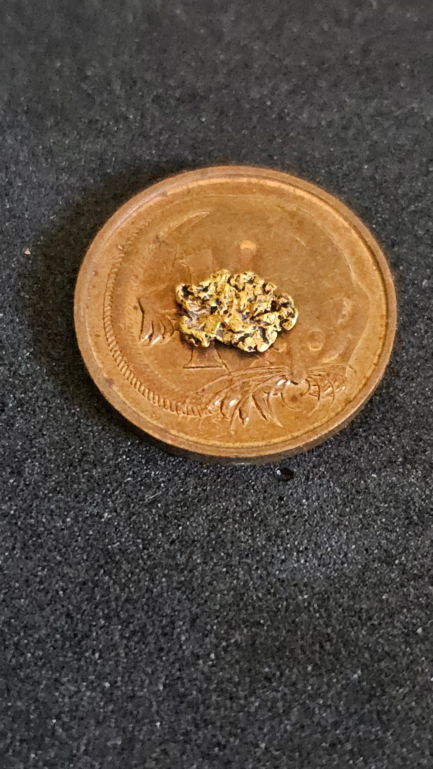 Rushworth Gold Nugget No.1004