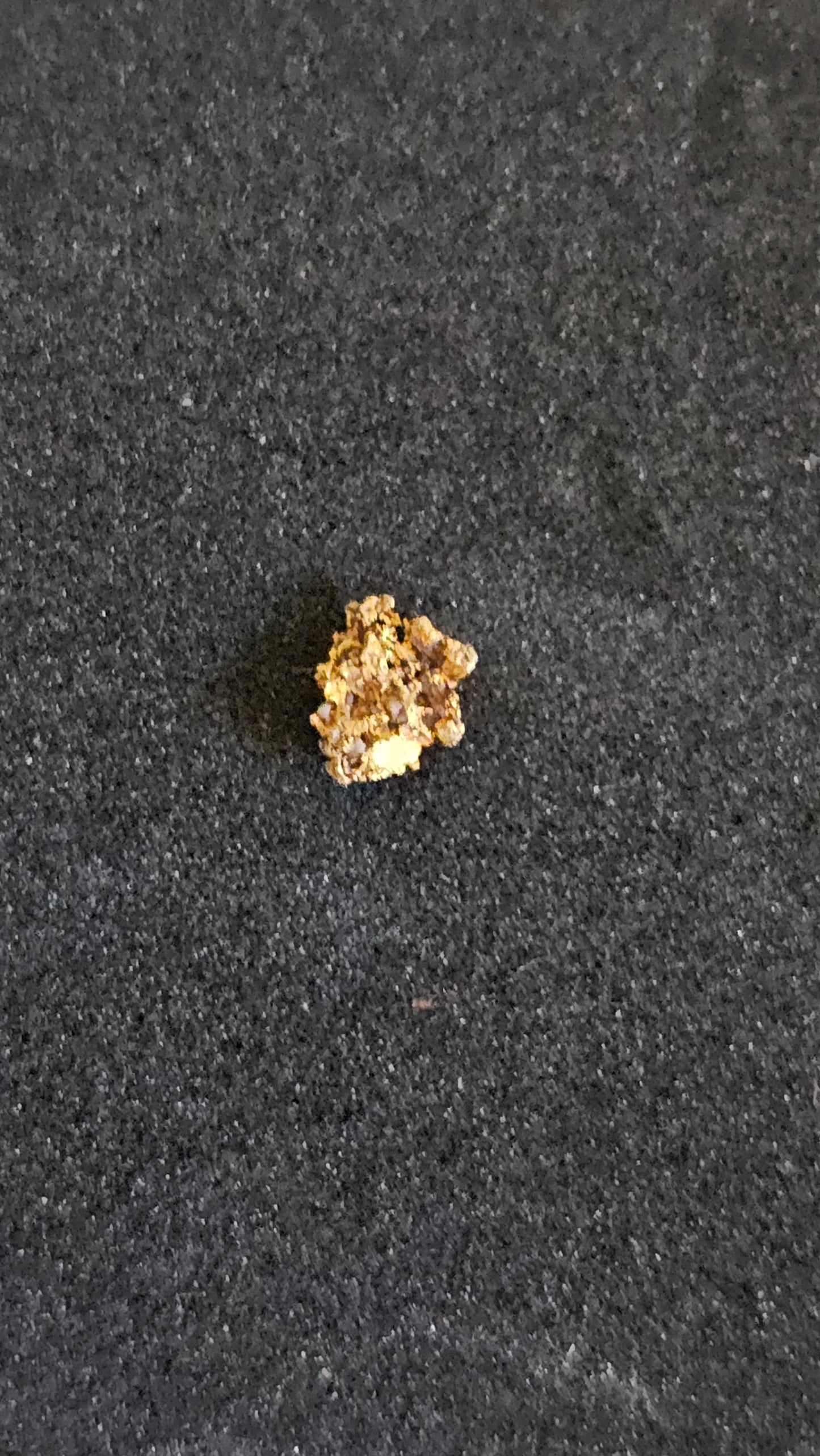 Rushworth Gold Specimen Nugget No.1006