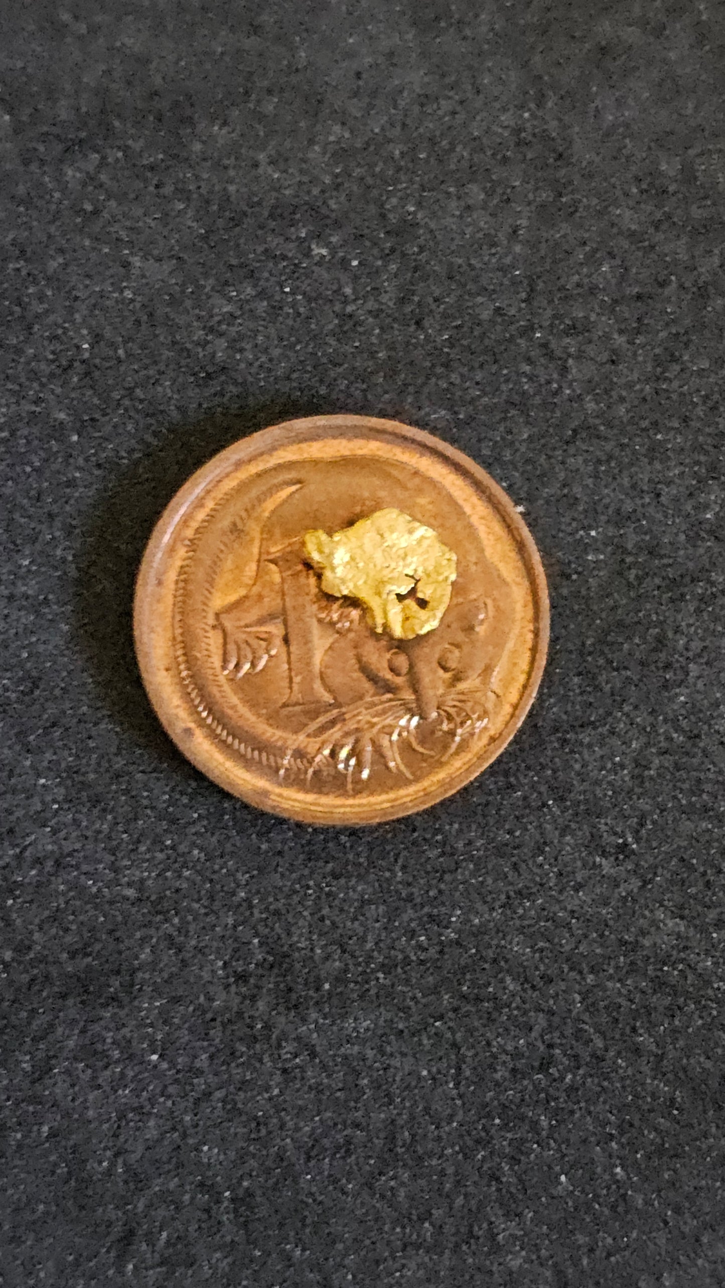 Rushworth Gold Nugget No.1008
