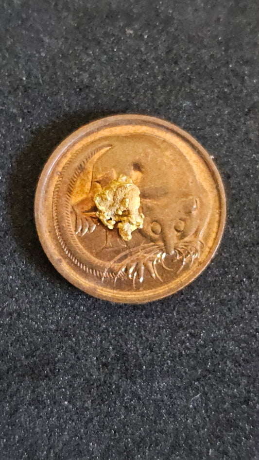 Rushworth Gold Nugget No.1009