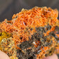 Crocoite with Gibbsite specimen - Adelaide mine in Tasmania