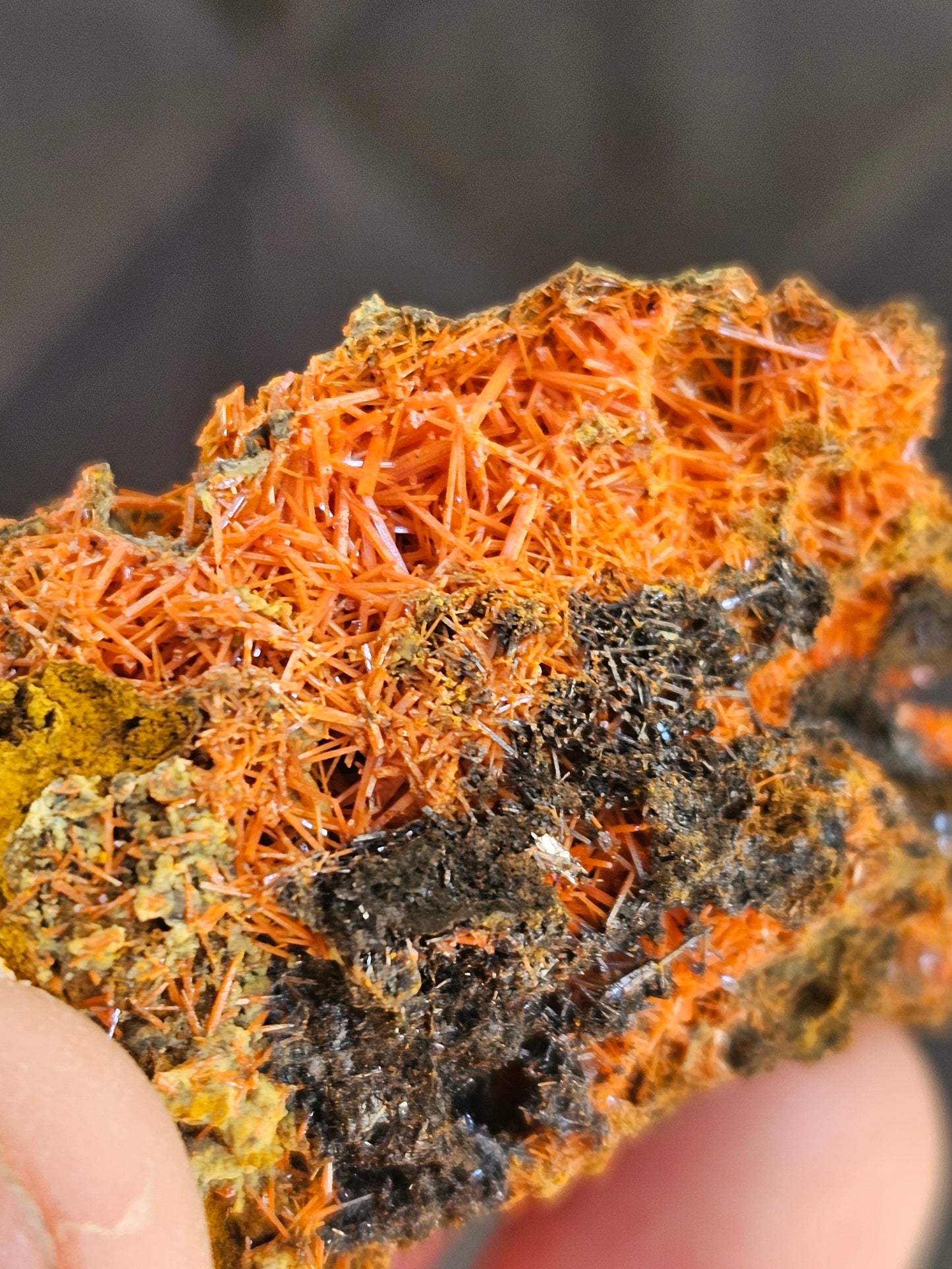 Crocoite with Gibbsite specimen - Adelaide mine in Tasmania