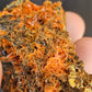 Crocoite with Gibbsite specimen - Adelaide mine in Tasmania