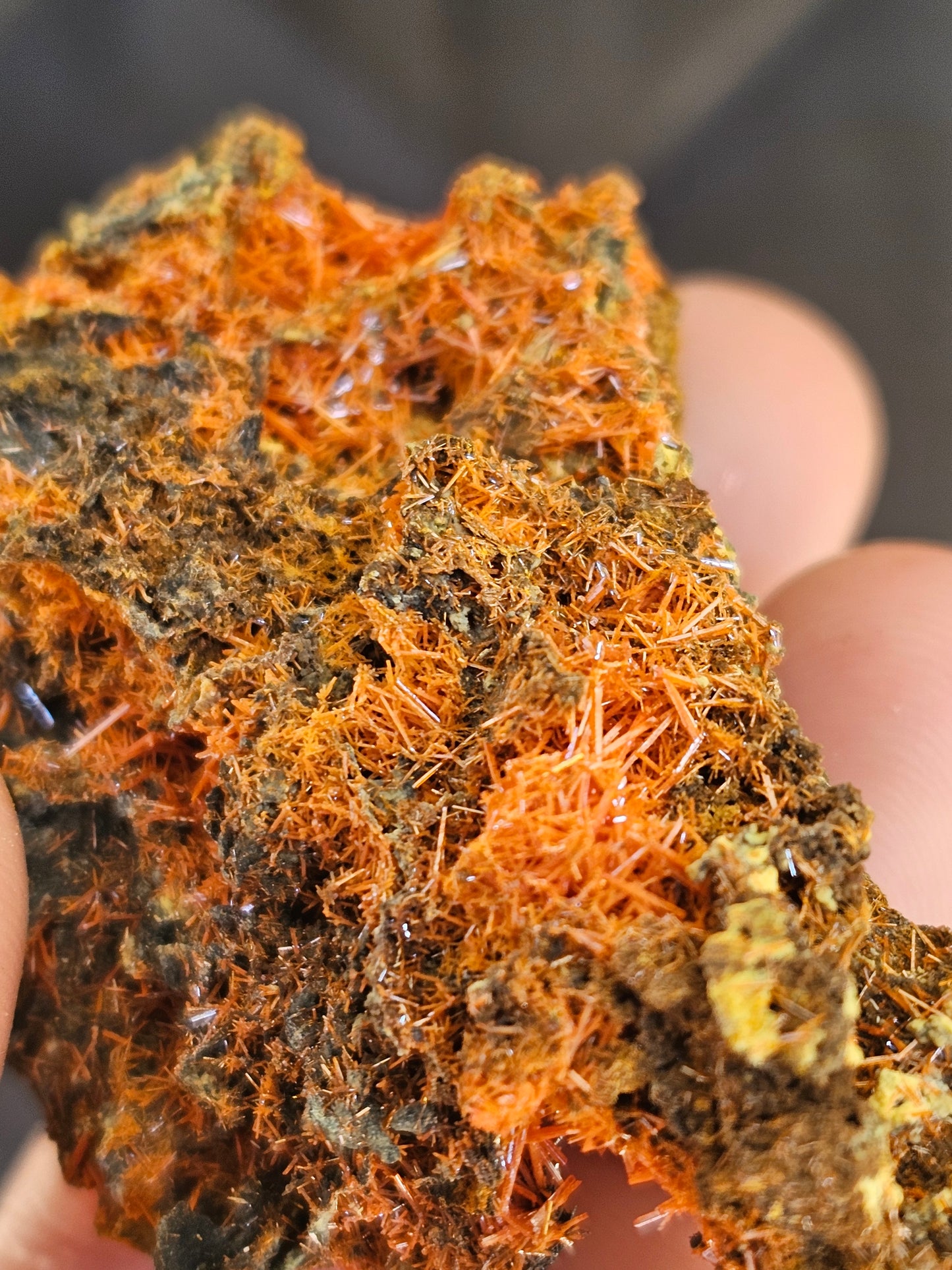 Crocoite with Gibbsite specimen - Adelaide mine in Tasmania