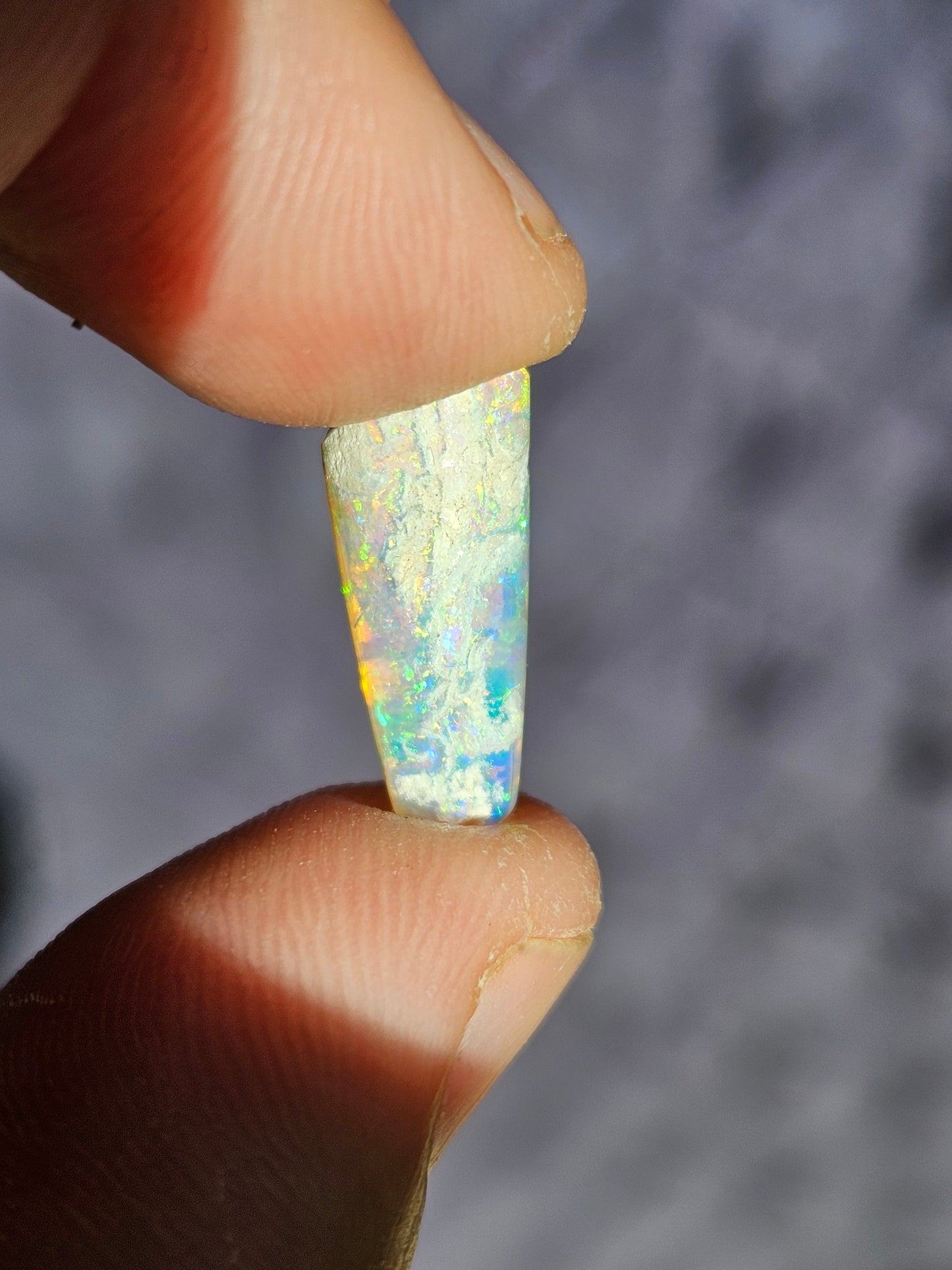 Opal Belemite - Coober Pedy