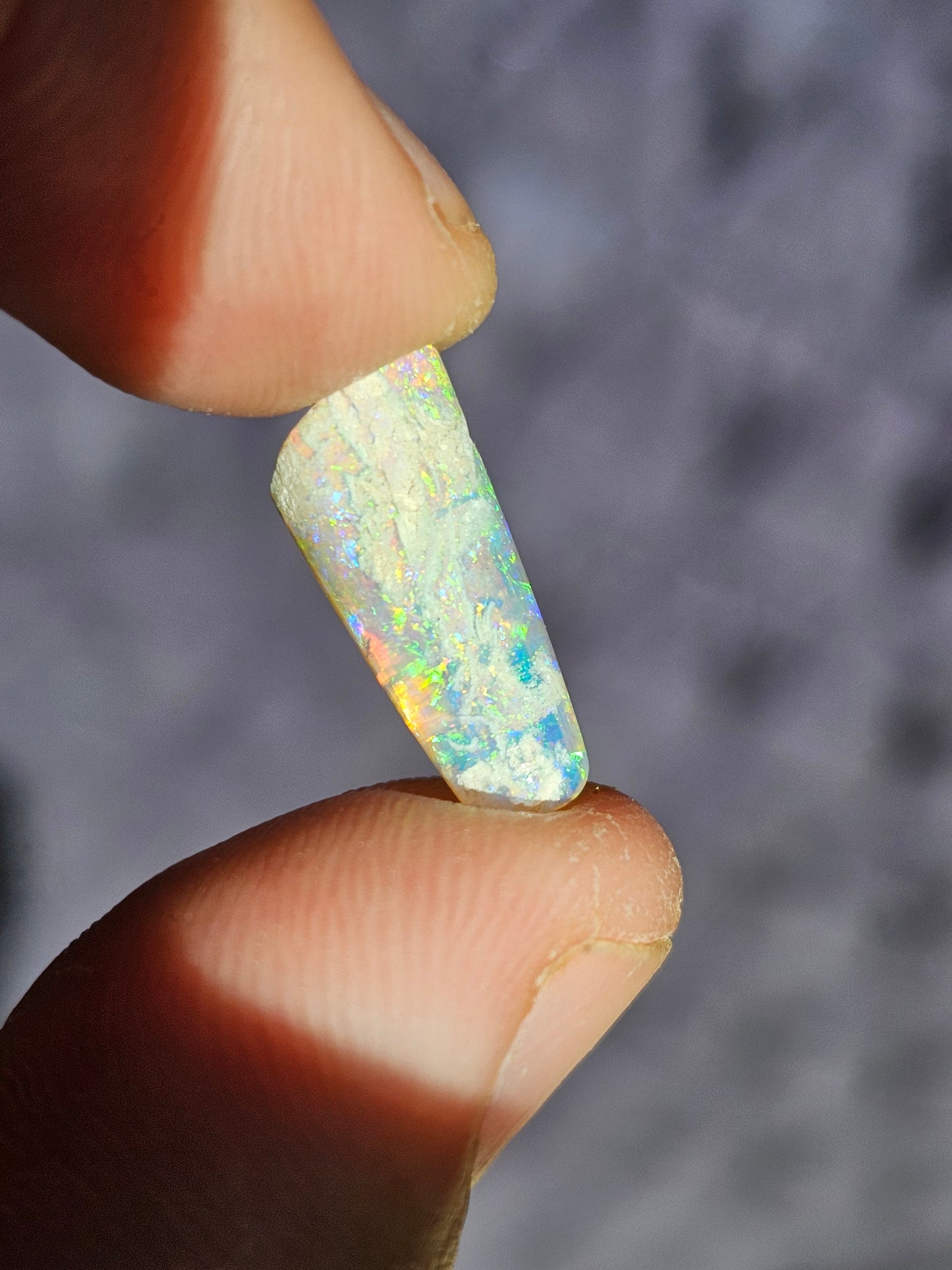 Opal Belemite - Coober Pedy