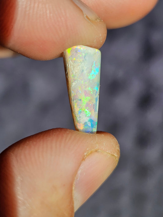 Opal Belemite - Coober Pedy