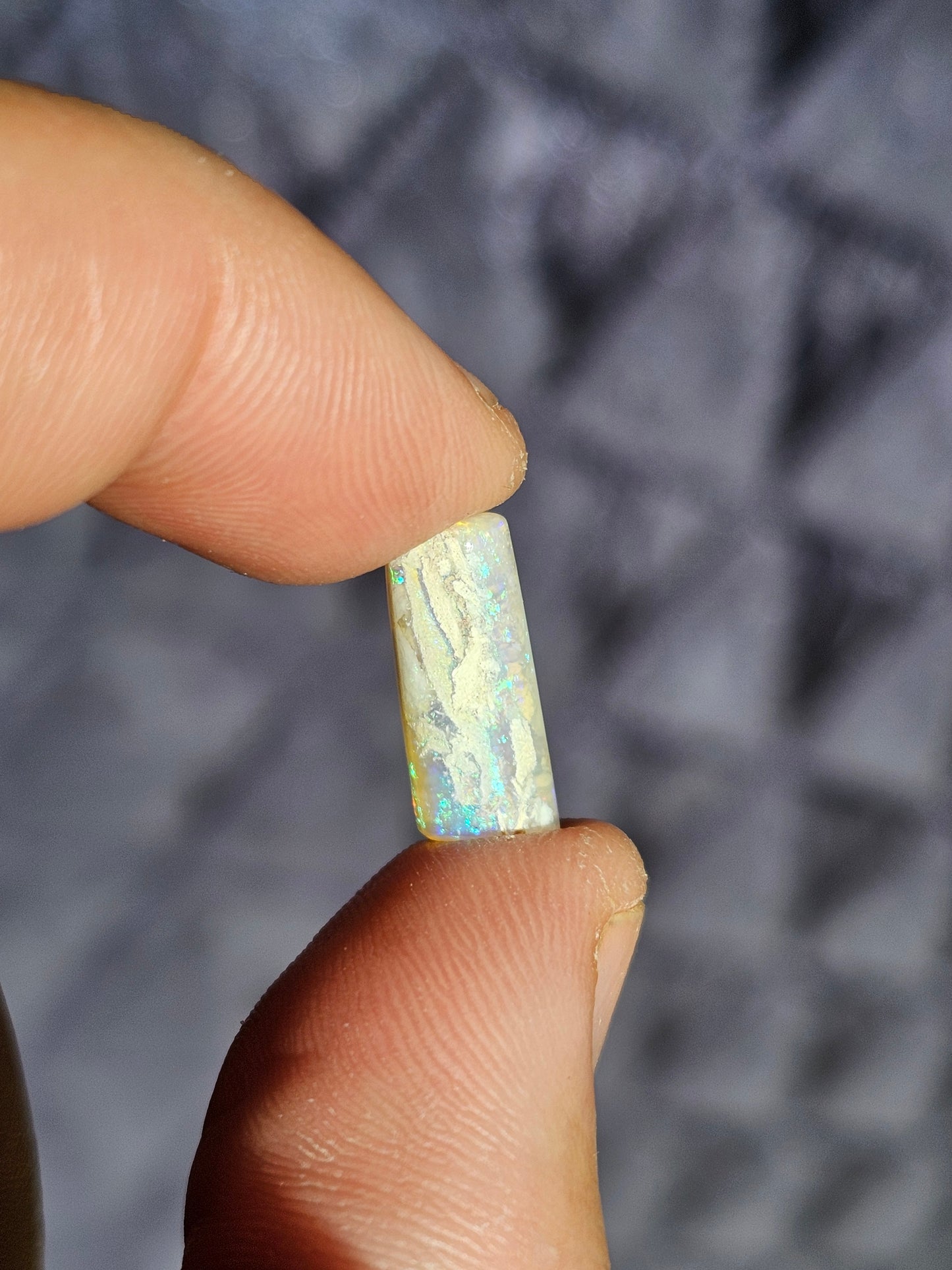 Opal Belemite - Coober Pedy