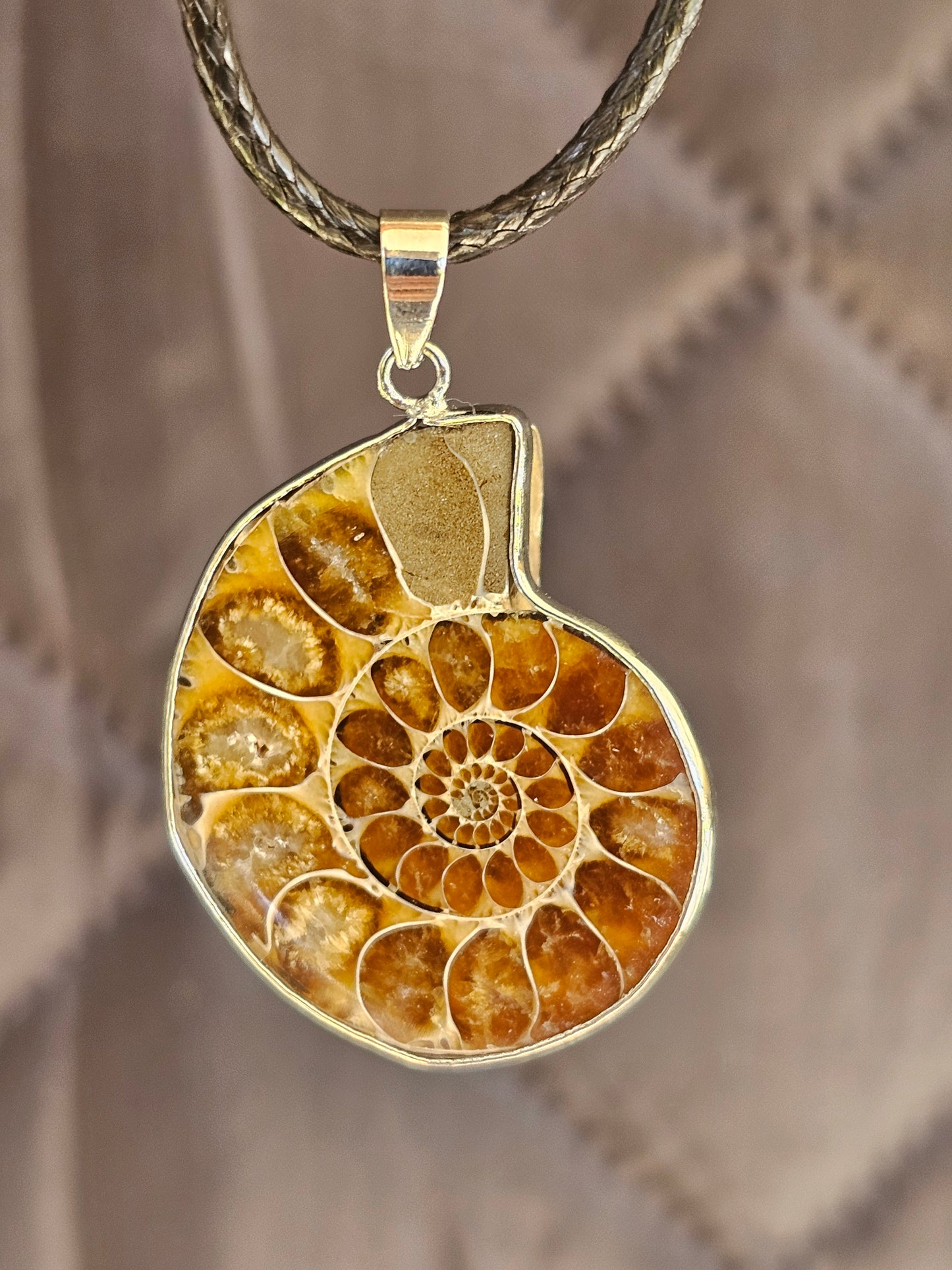 Ammonite Fossile Necklace