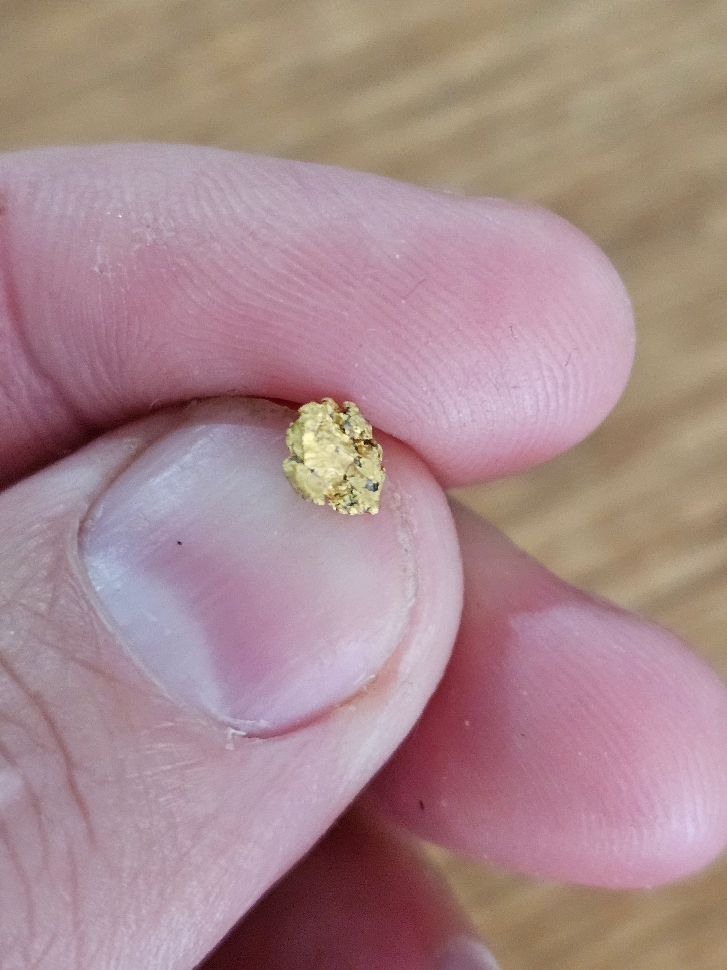 Gippsland Gold Nugget A2 0.32g