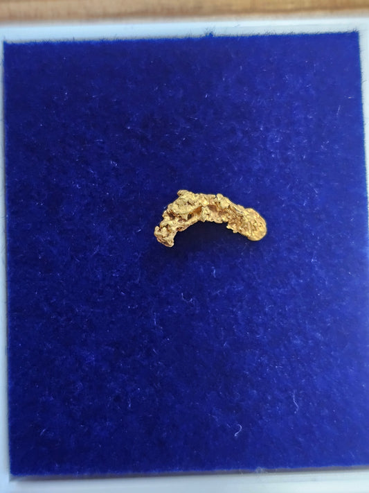 Clermont Gold Nugget D11 0.29g