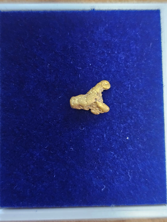 Clermont Gold Nugget D12 0.52g