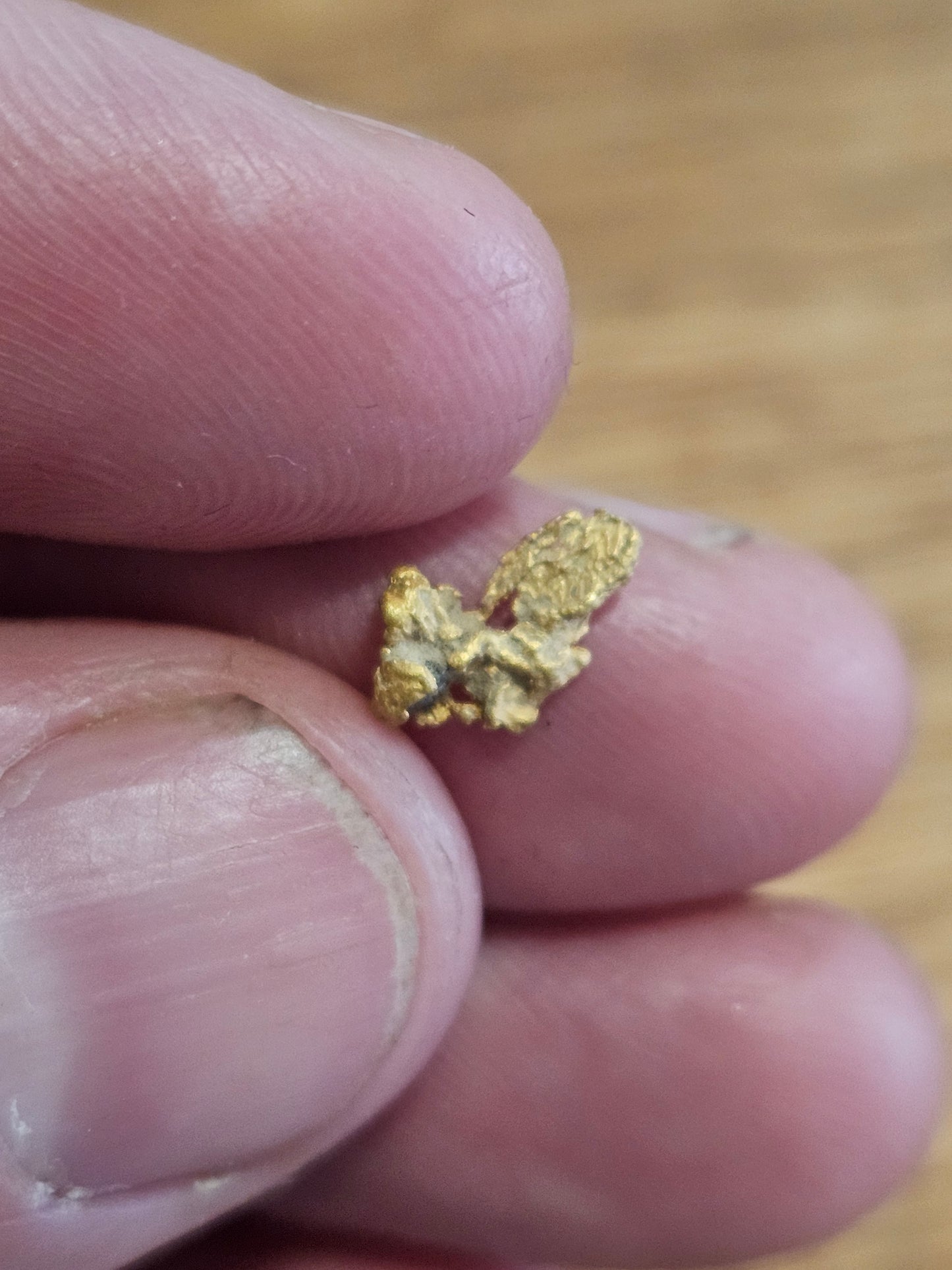 Rushworth Gold Nugget with Quartz 0.40g X4