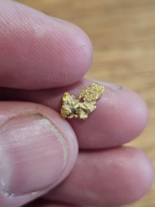 Rushworth Gold Nugget with Quartz 0.40g X4