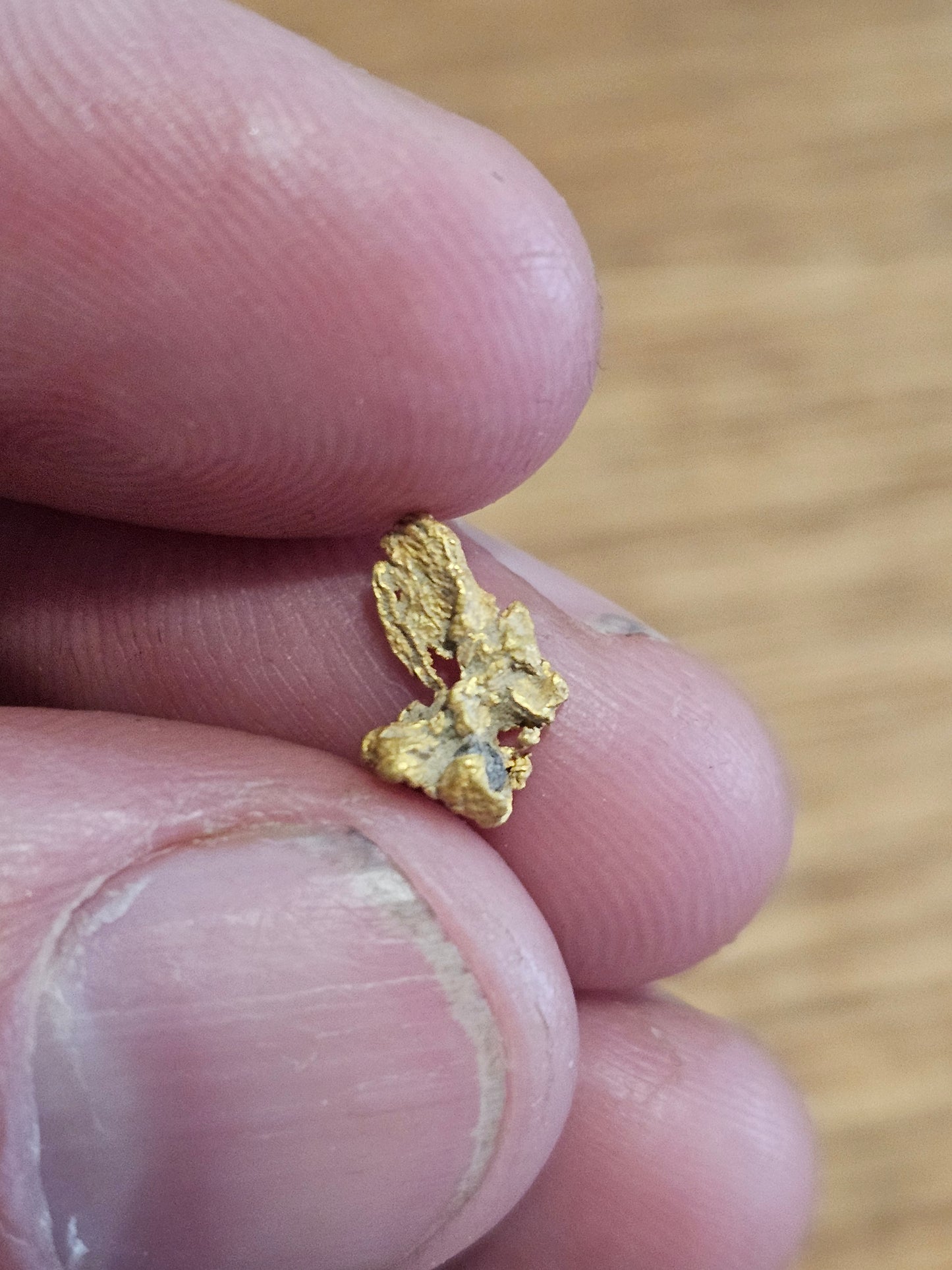 Rushworth Gold Nugget with Quartz 0.40g X4