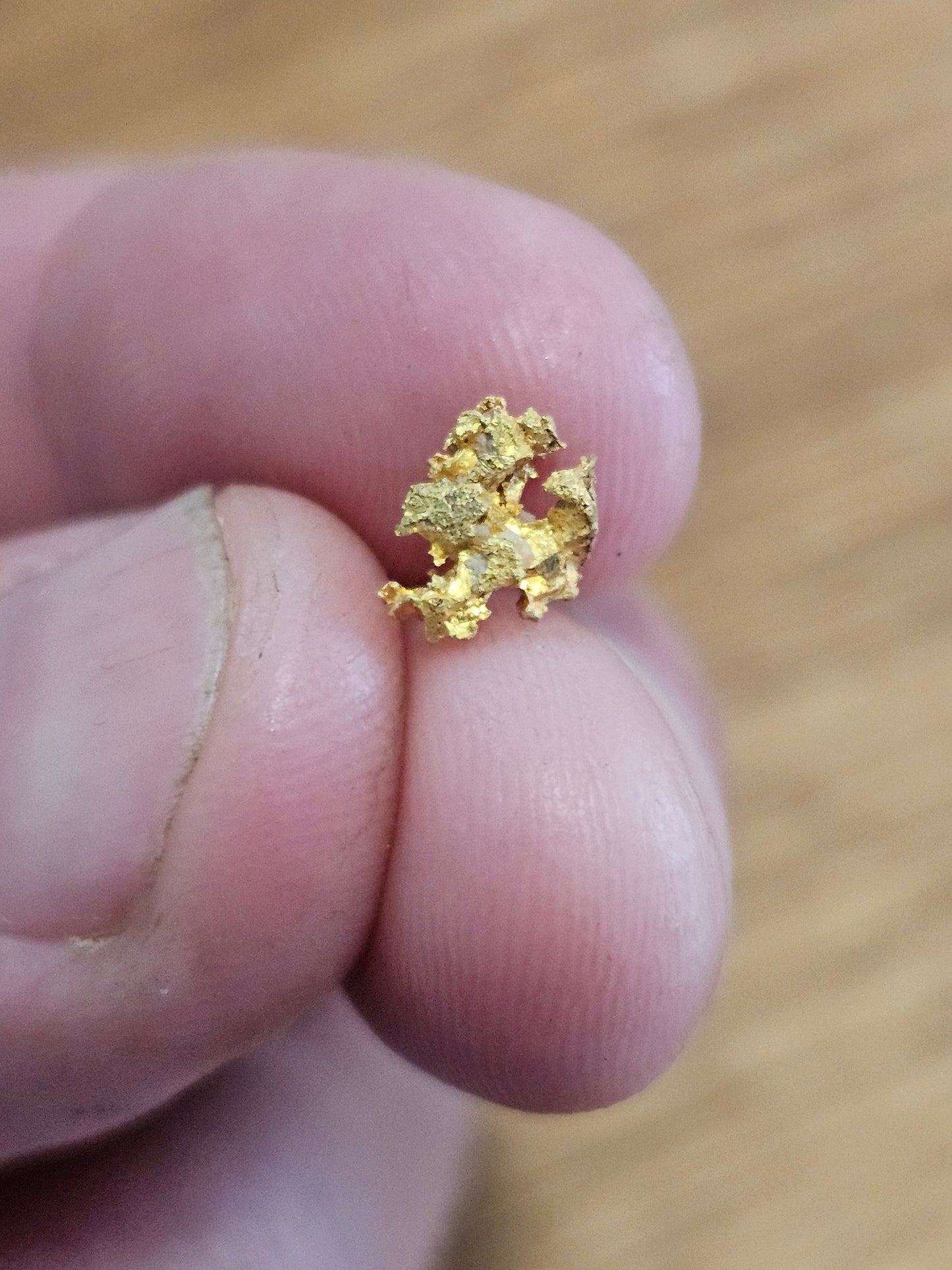 Rushworth Gold Specimen X9 0.54g