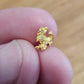 Rushworth Gold Specimen X9 0.54g