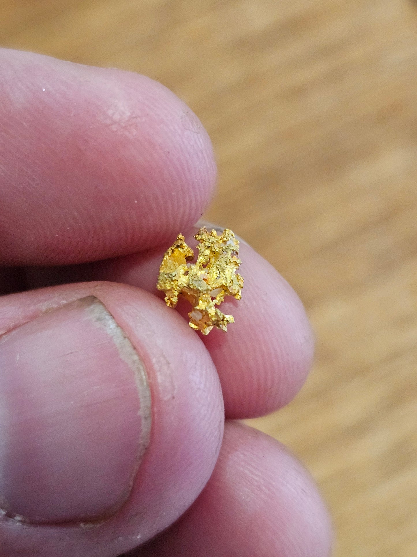 Rushworth Gold Specimen X9 0.54g