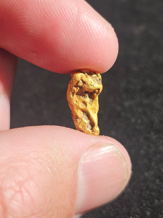 Albury Gold Nugget #1 3.36G