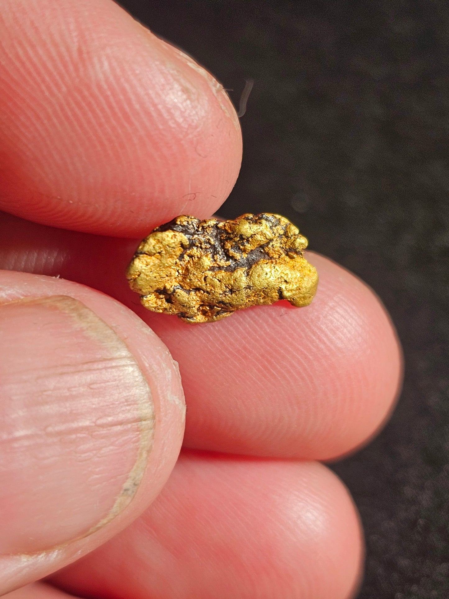 Beechworth Gold Nugget B1 1.32G