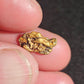 Beechworth Gold Nugget B1 1.32G