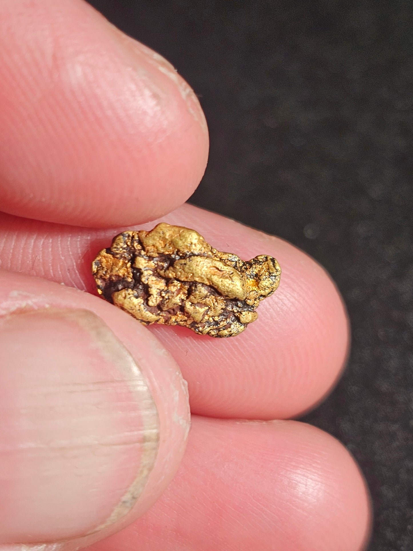 Beechworth Gold Nugget B1 1.32G