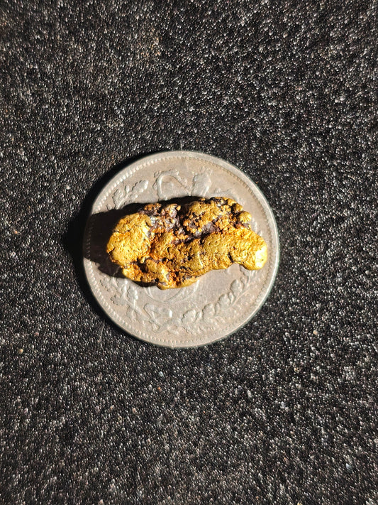 Beechworth Gold Nugget B1 1.32G