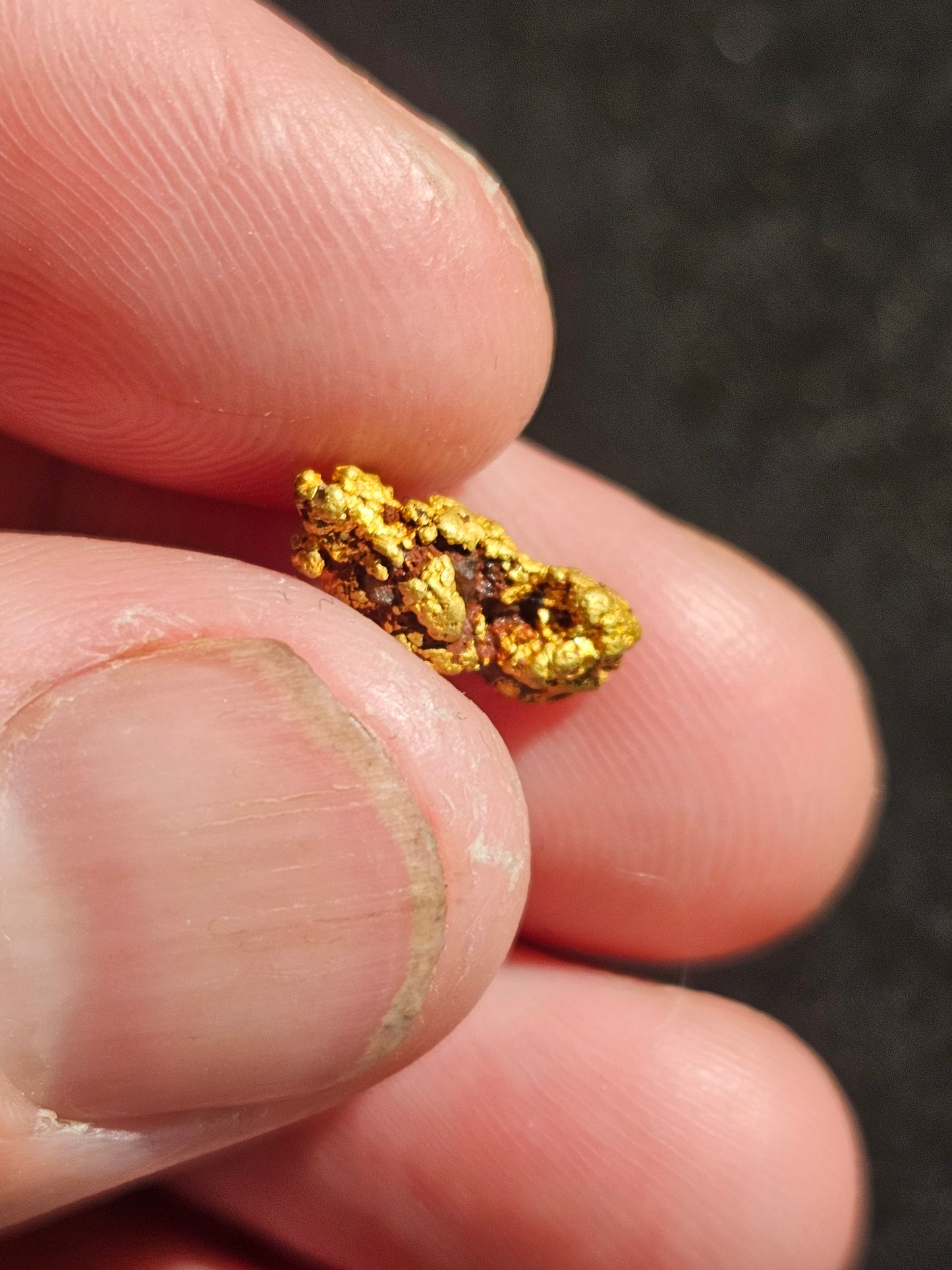 Beechworth Gold Nugget b2 1.84