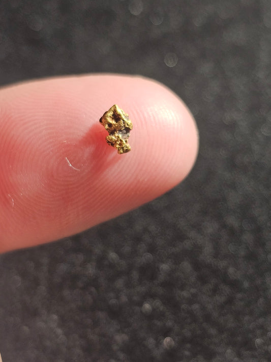 Albury Gold Nugget #2