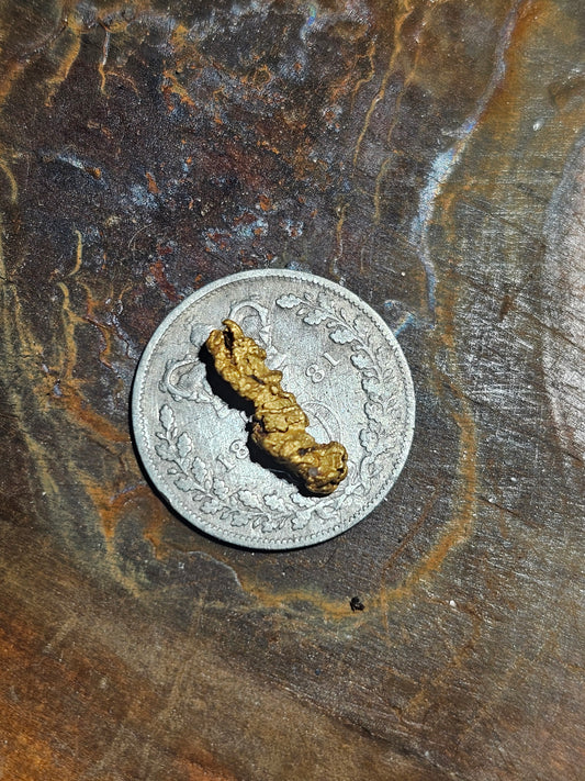 Beechworth Gold Nugget b3 0.59g