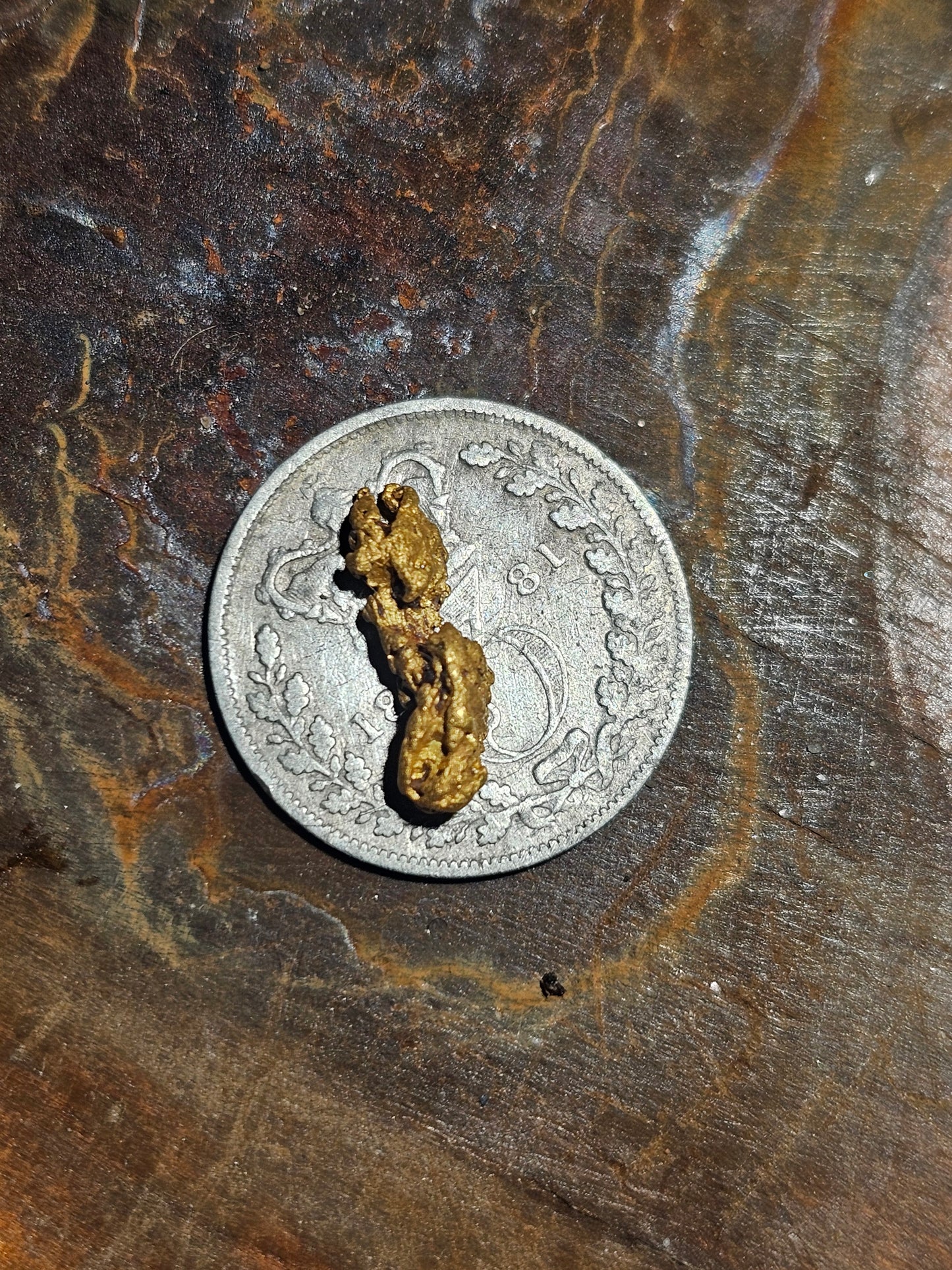 Beechworth Gold Nugget b3 0.59g