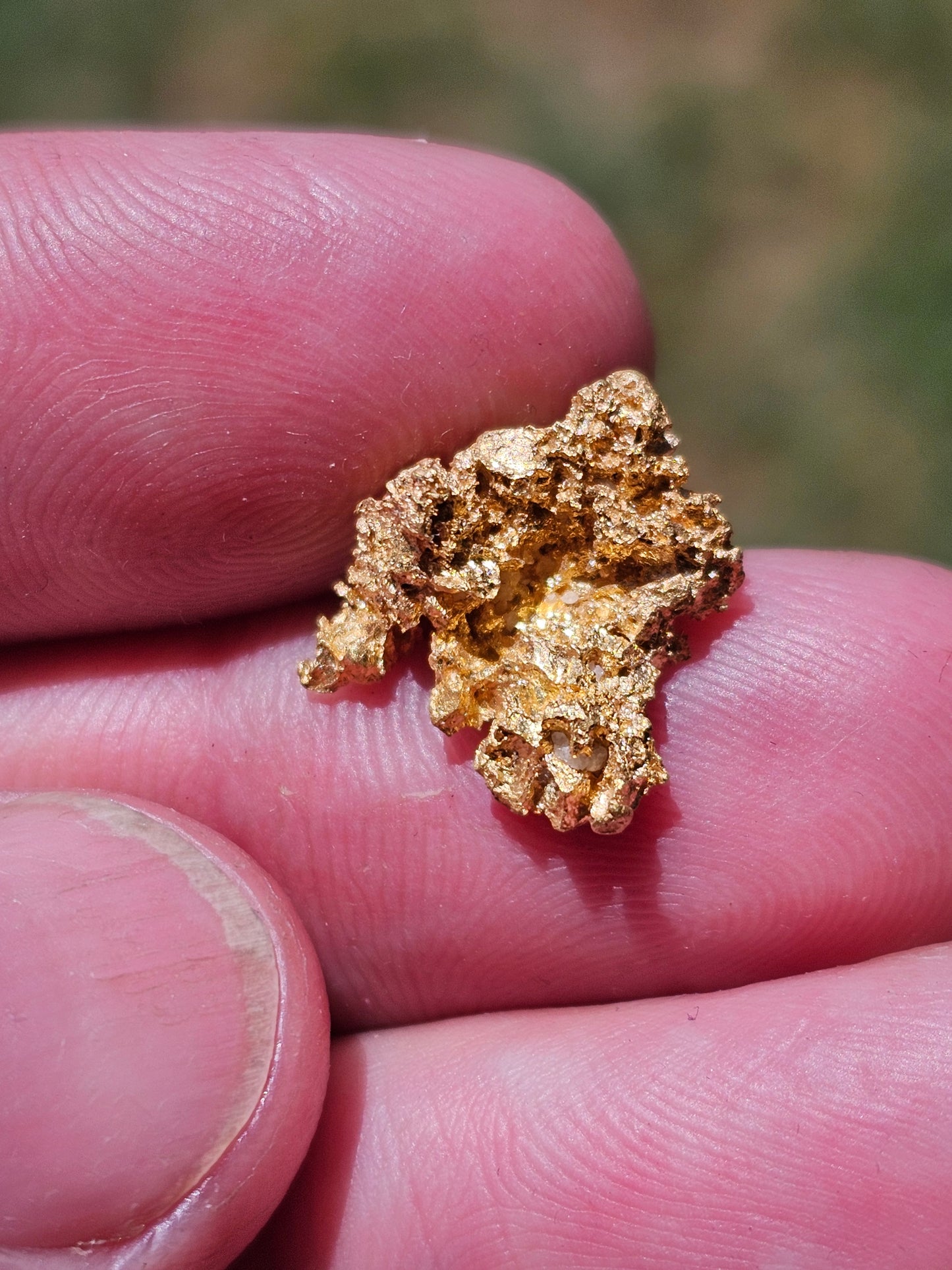 5.17 Gram Collectors Piece Nugget!