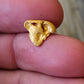 Shark Tooth Alluvial Gold Nugget 1.10 Grams