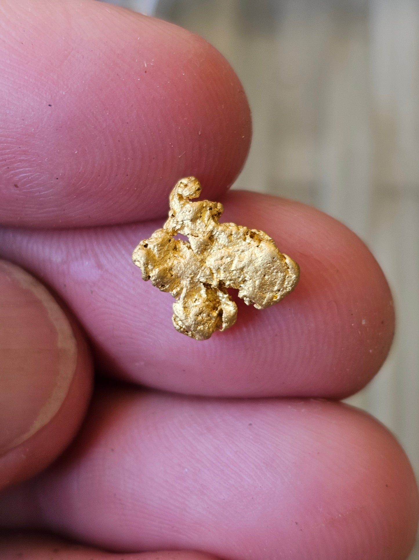 Alluvial Gold Nugget 1.67 Grams