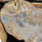 Reedy Creek Moss Agate Slabs no.1 *unworked