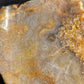 Reedy Creek Moss Agate Slabs no.1 *unworked