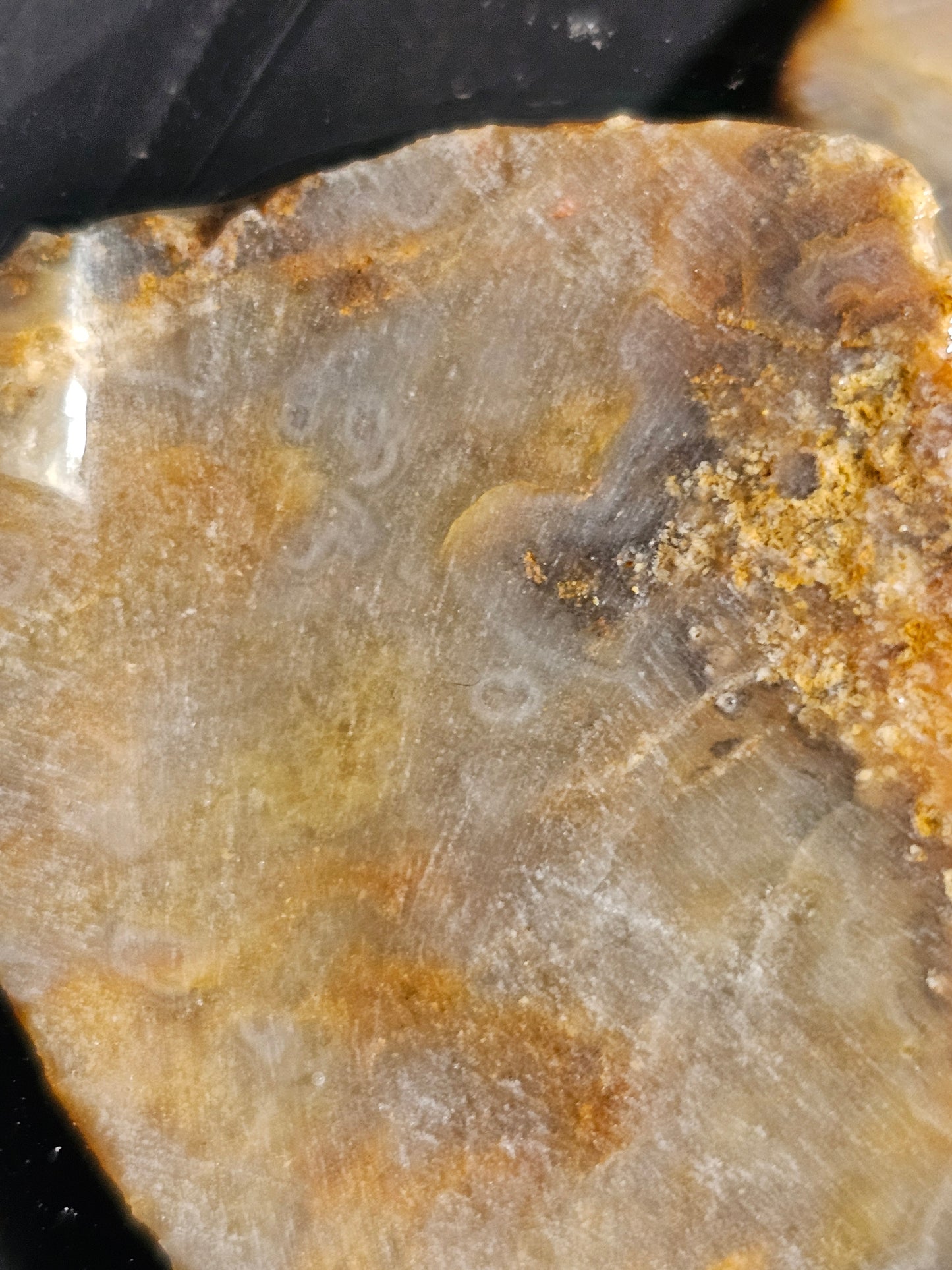 Reedy Creek Moss Agate Slabs no.1 *unworked