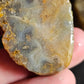 Reedy Creek Moss Agate Slabs no.1 *unworked