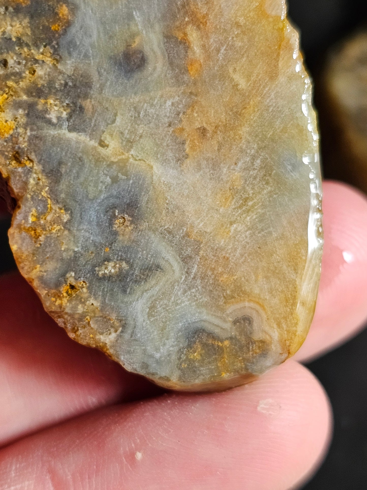 Reedy Creek Moss Agate Slabs no.1 *unworked