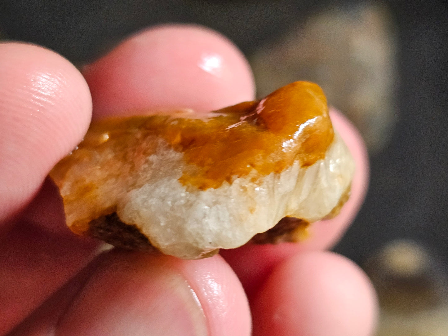 Reedy Creek Agate no.2 *unfinished