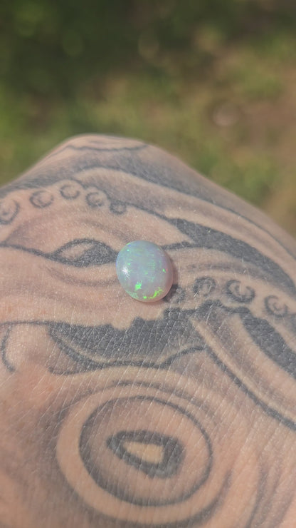 1.610 cooberpedy Opal